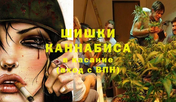 марки nbome Богородицк