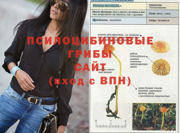 мескалин Богданович