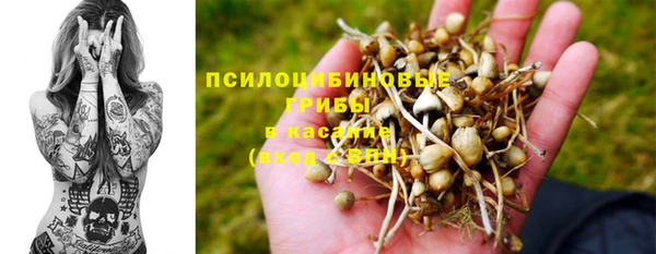 мескалин Богданович